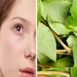 Làm đẹp bằng rau diếp cá- Bí quyết dưỡng da tự nhiên