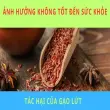 Tác hại của gạo lứt bạn cần biết để ăn đúng cách hàng ngày