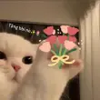 Meme mèo tặng hoa siêu dễ thương khiến dân mạng phì cười