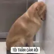 Meme trầm cảm gây sốc khiến dân mạng cười và suy ngẫm