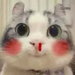 Top meme xịt máu mũi hài hước khiến dân mạng thích thú