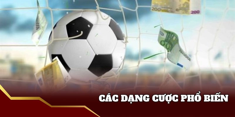 Các dạng cược trong truc tiep keo nha cai 