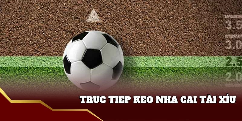 Kiểu cược tài xỉu cực hot