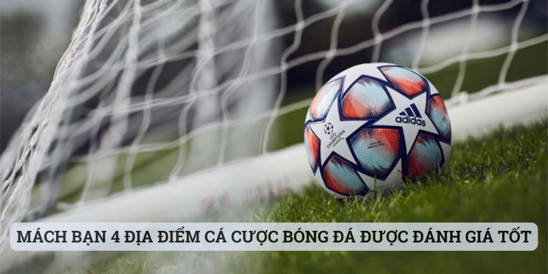 Mách bạn 4 địa điểm cá cược bóng đá được đánh giá tốt