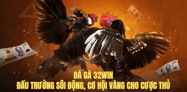 32Win nơi chiến kê hội tụ, đam mê bùng nổ