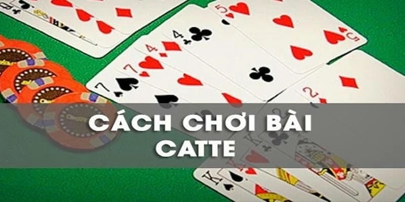 Bí kíp Catte Bomwin – 5 tuyệt chiêu hạ đo ván đối thủ