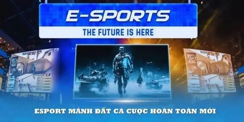 Các kỹ năng quan trọng trong esport 789f bạn cần phát triển
