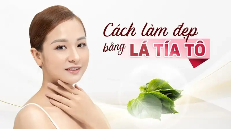 Tác dụng làm đẹp từ lá tía tô