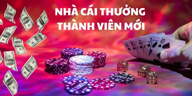  Giao diện đăng ký tài khoản trên nhà cái Saowin, đảm bảo thu thập thông tin minh bạch.