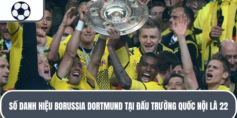 Số danh hiệu Borussia Dortmund tại đấu trường quốc nội là 22