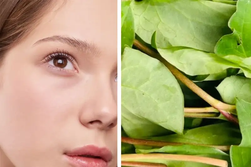 Rau diếp cá và tác dụng tuyệt vời cho làn da