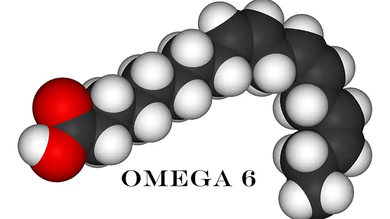Omega-6 là gì và vai trò trong cơ thể
