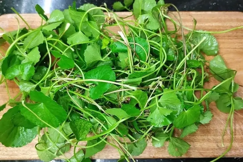 Tác hại tiềm ẩn khi kết hợp thuốc và bệnh lý nền