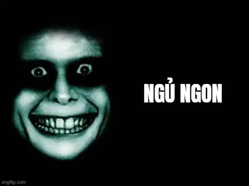 Tận hưởng meme chúc ngủ ngon bựa đêm nay thật thú vị