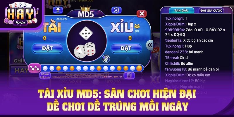 Chơi Tài xỉu MD5 HAYWIN – Minh bạch, kịch tính và cơ hội thắng lớn
