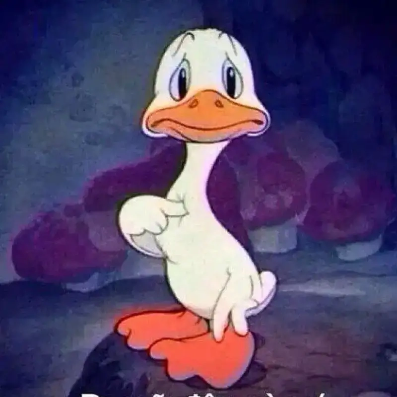 Meme mèo đau ở đây này làm người xem thích thú