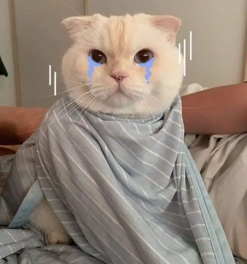 Meme buồn ghi lại cảm giác thất tình đêm dài