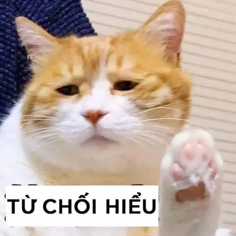 Meme chán ko muốn nói phù hợp mọi hoàn cảnh