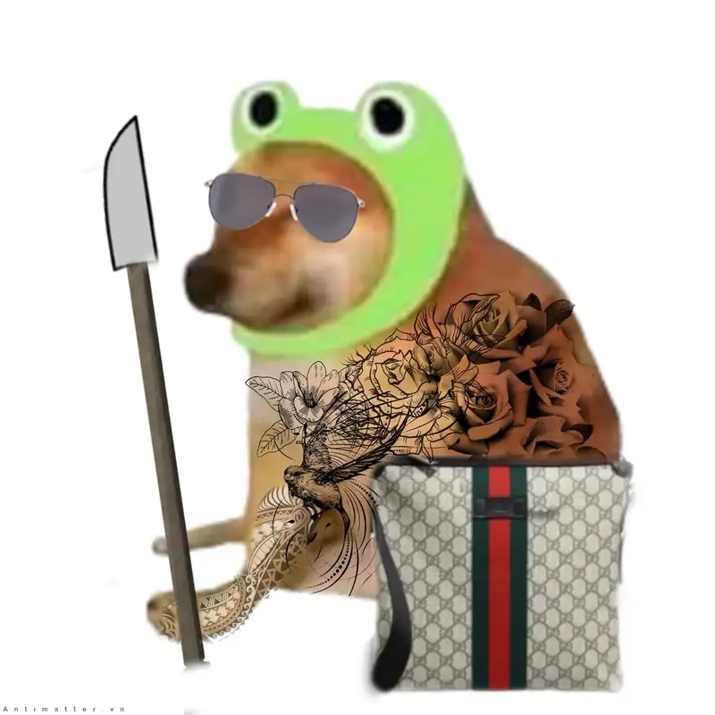 Thỏa thích xem ảnh meme con chó chỉ tay vui