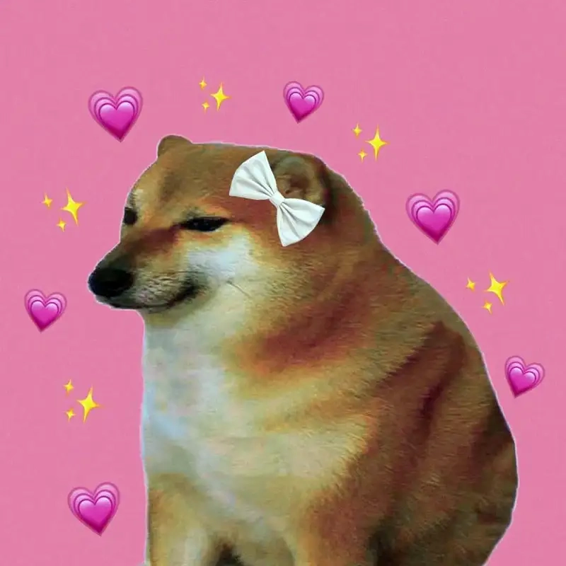 Xem biểu cảm buồn cười meme con chó khóc độc đáo