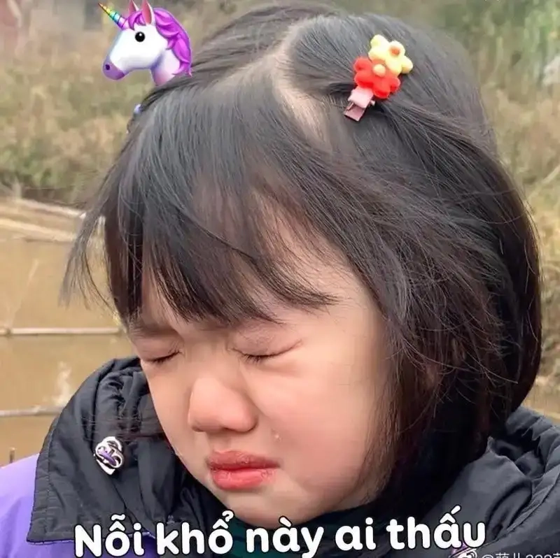Khổ meme khiến ai xem cũng muốn cười đau khổ