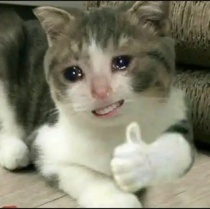 Meme đau hài hước khiến dân mạng bật cười đau khổ