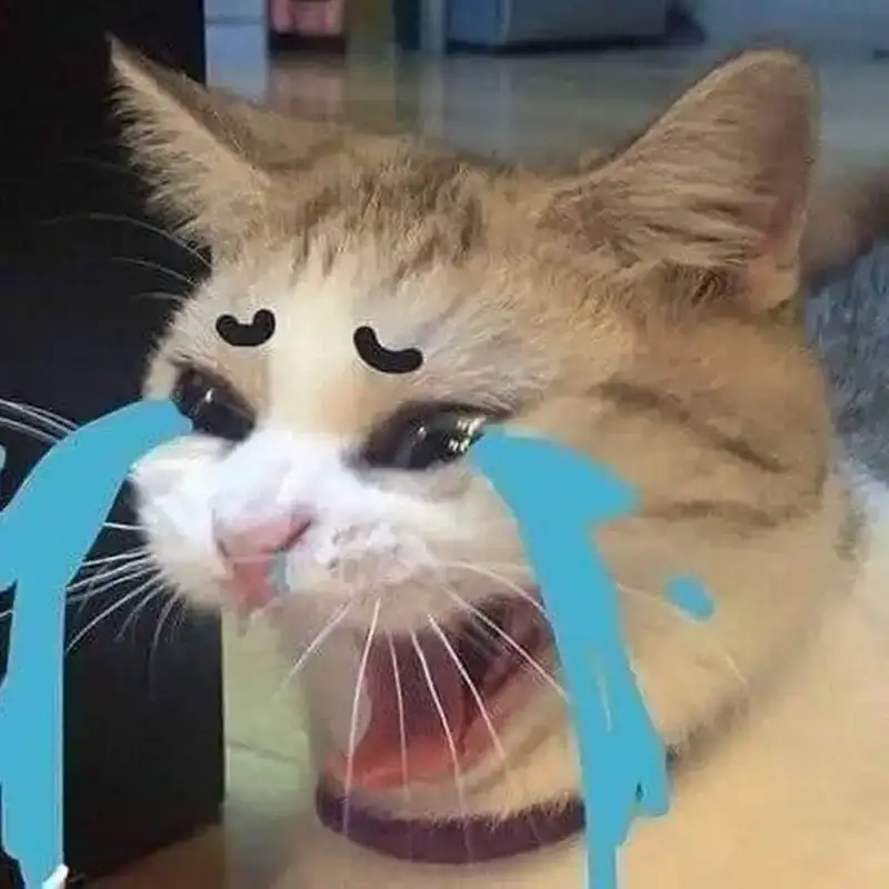 Đau khổ meme lan tỏa cảm giác vừa buồn vừa cười