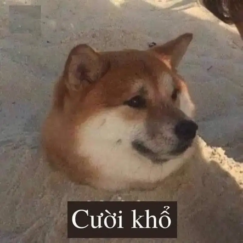 Miễn là chúng mày đau khổ meme gây bão mạng xã hội