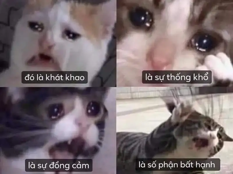 Miễn là mày đau khổ meme hài hước nhưng xót xa