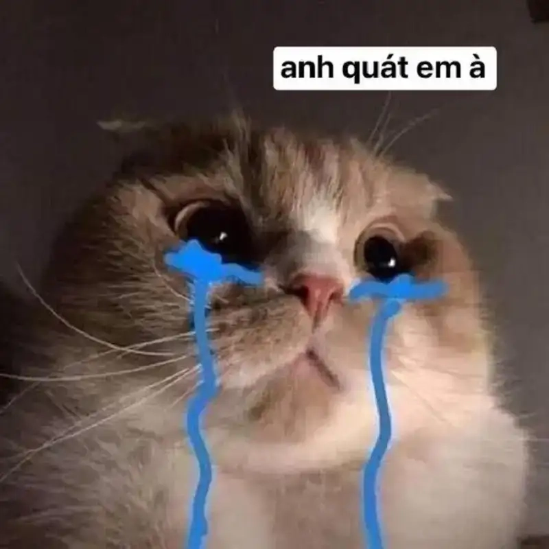 Meme đau khổ gục ngã hài hước nhưng đầy cảm xúc