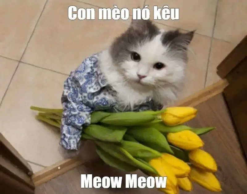 Trọn vẹn niềm vui qua meme hạnh phúc quá