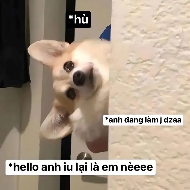Tình yêu lung linh qua đợi chờ là hạnh phúc meme