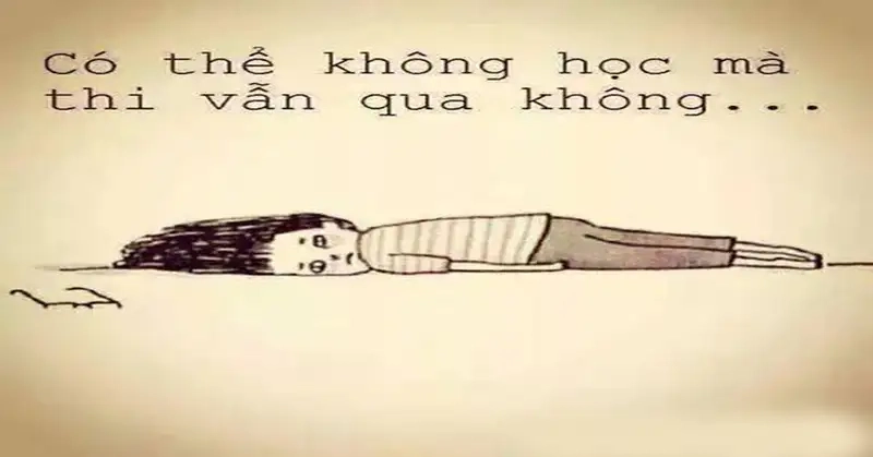 Meme nằm chill cực hợp với ngày nghỉ