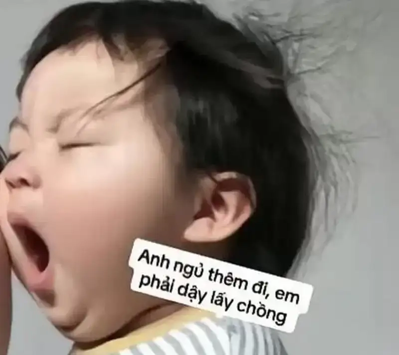 Xem meme gấu trúc mất ngủ quên đi stress