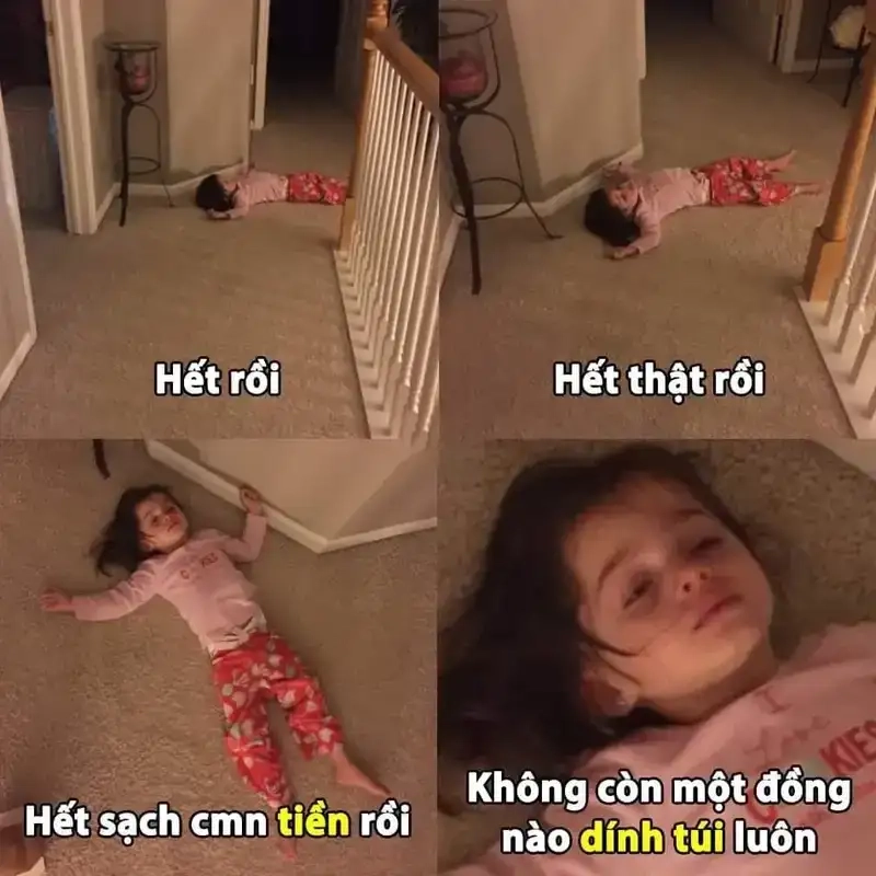 Meme mèo nghèo dễ thương tạo tiếng cười nhẹ nhàng