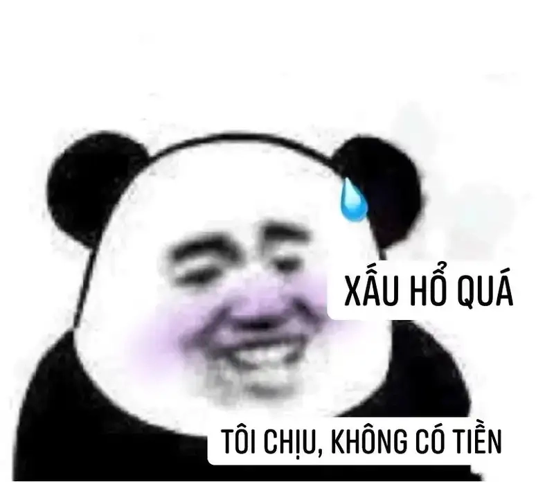 Meme sổ hộ nghèo chế vui khiến dân mạng thích thú