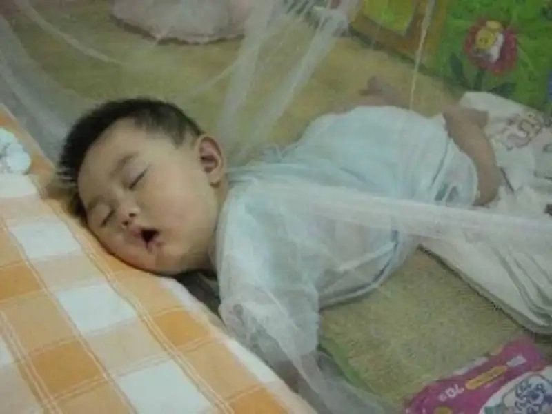 Loạt hình buồn ngủ meme dễ thương và dí dỏm