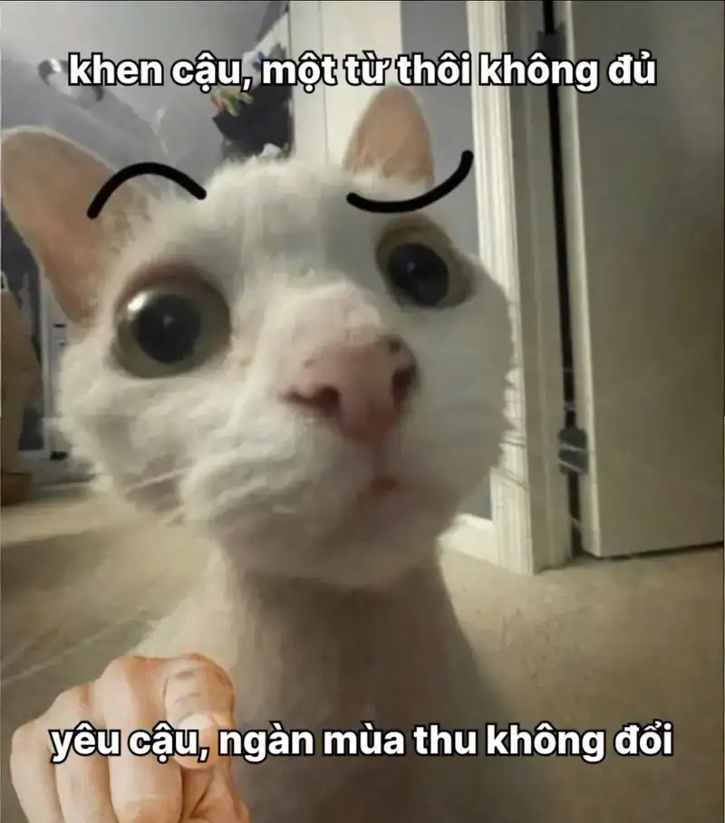 Meme thả thính là như thế nào gây cười cực mạnh