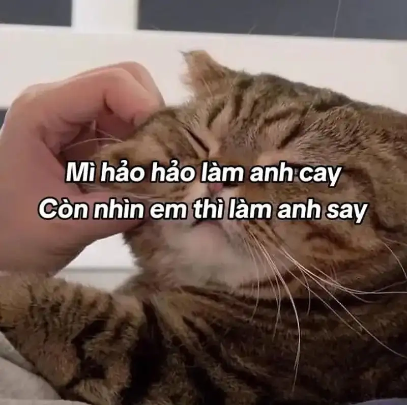 Meme thả thính hài hước cực vui khiến mọi người thích