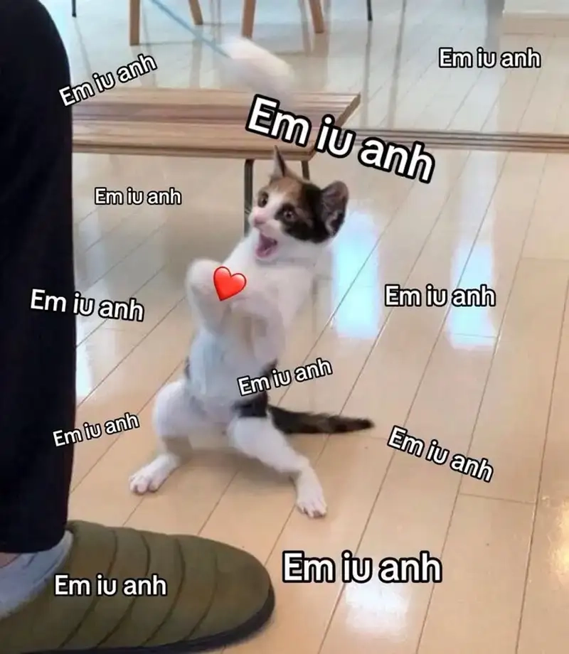 Meme thả tim khiến mọi người muốn thả lại