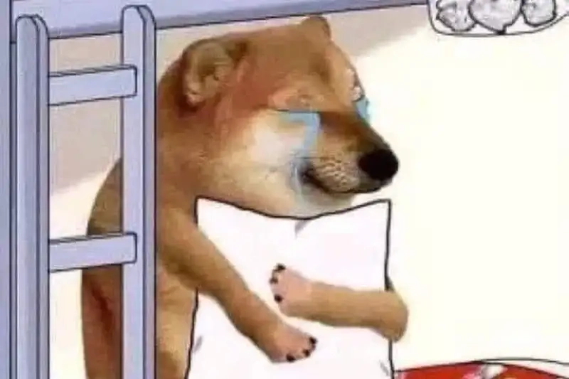 Cười thả ga với meme khuôn mặt thất vọng độc lạ