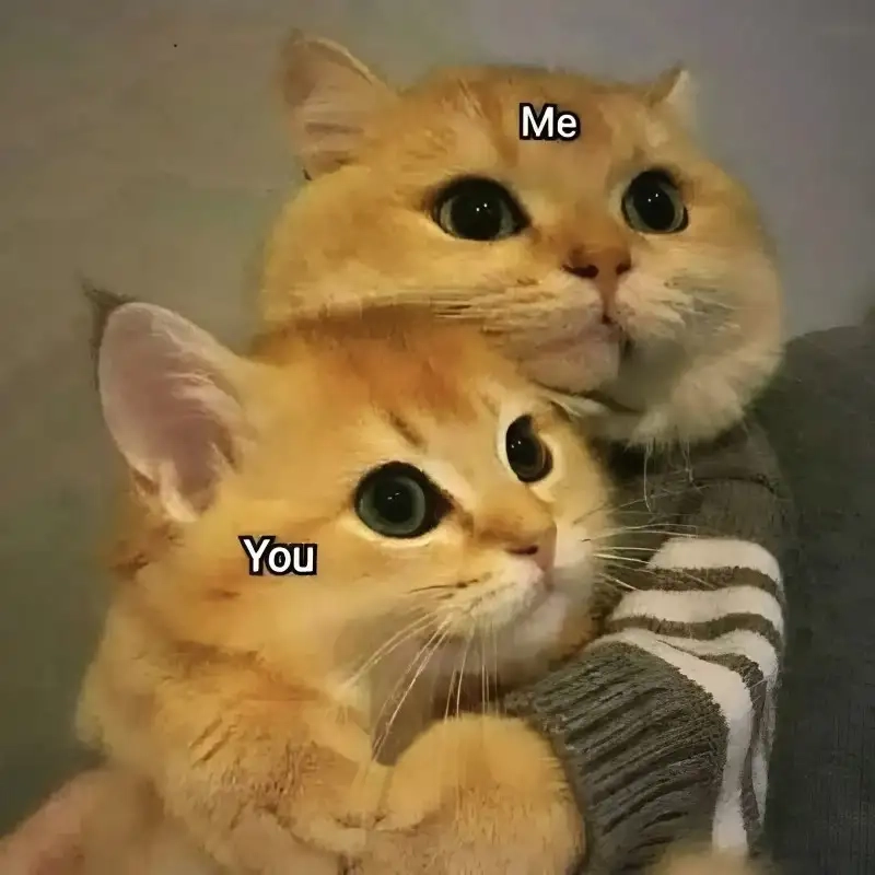 Meme tình yêu là như thế nào