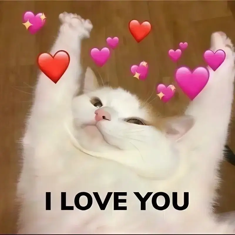 Cảm nhận niềm vui với meme tình yêu to lớn ngọt ngào