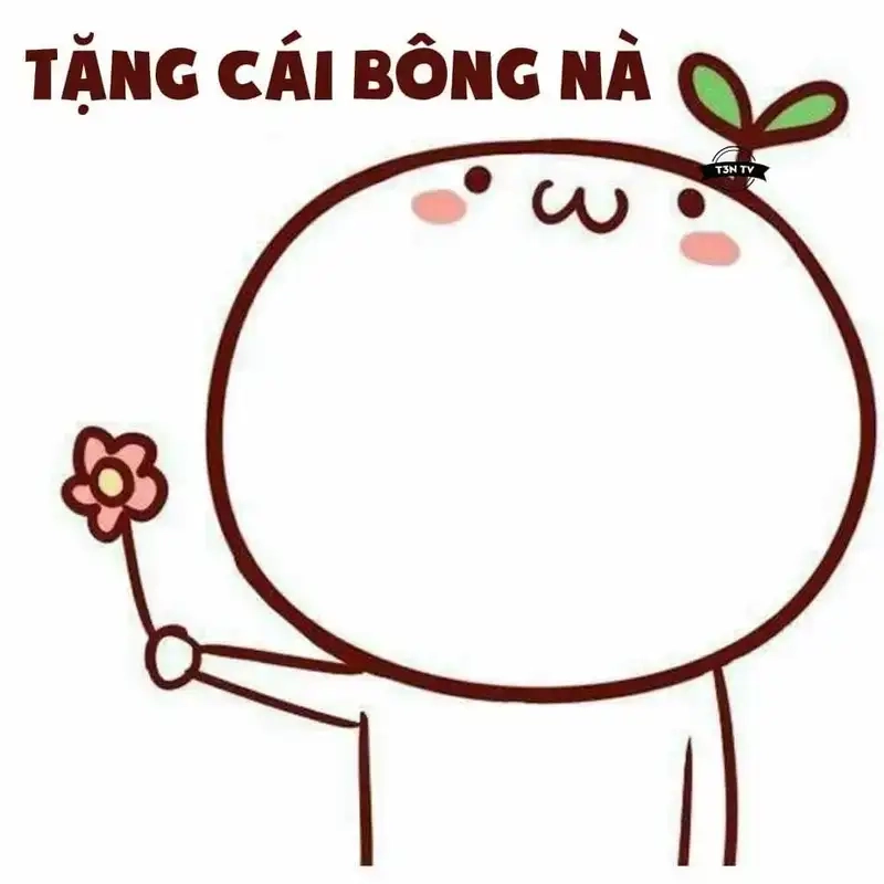 Meme tỏ tình crush hài hước ai cũng mê