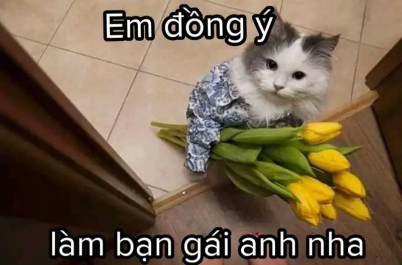 Ảnh meme tỏ tình bá đạo khiến ai cũng thích