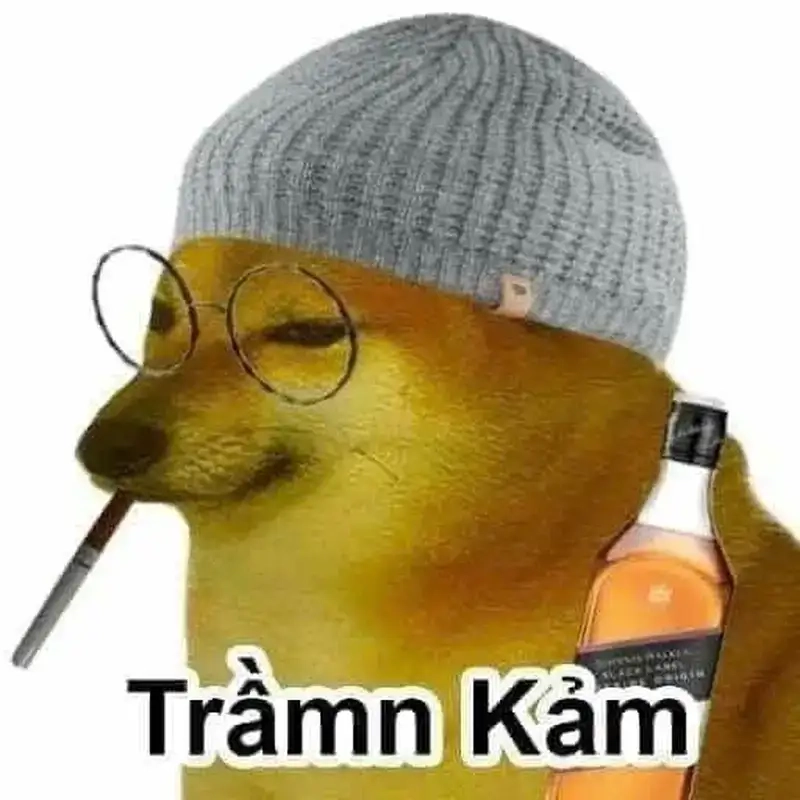 Meme trầm cảm là như thế nào hấp dẫn và bất ngờ
