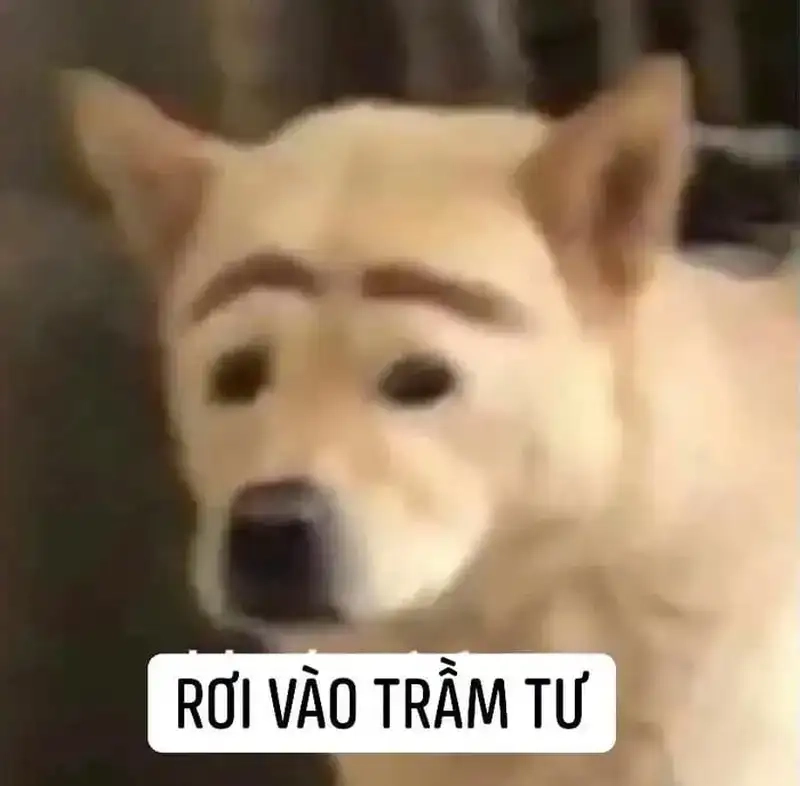 Trầm cảm lên meme khiến tâm trạng nhẹ nhàng hơn