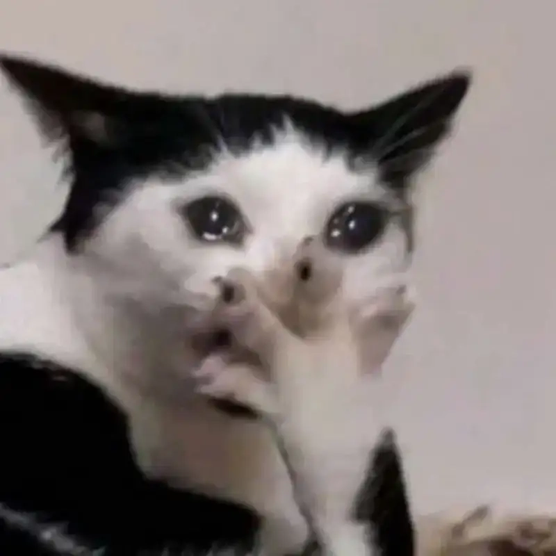 Ảnh meme trầm cảm tổng hợp các khoảnh khắc hài hước