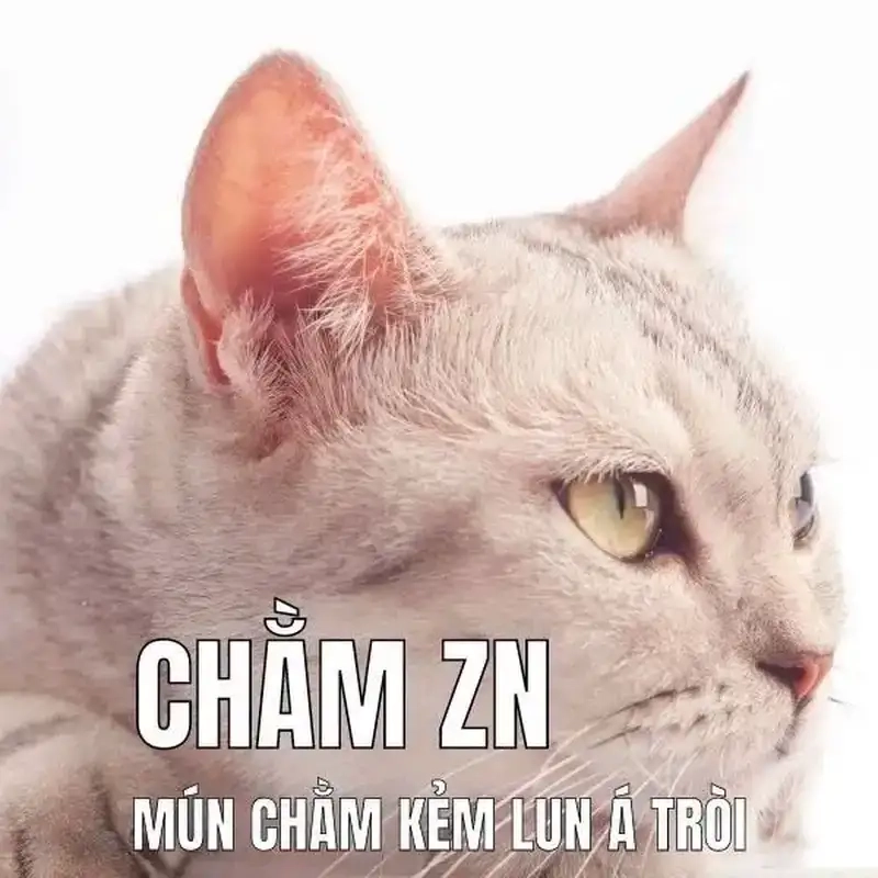 Ảnh meme trầm cảm tổng hợp các khoảnh khắc hài hước