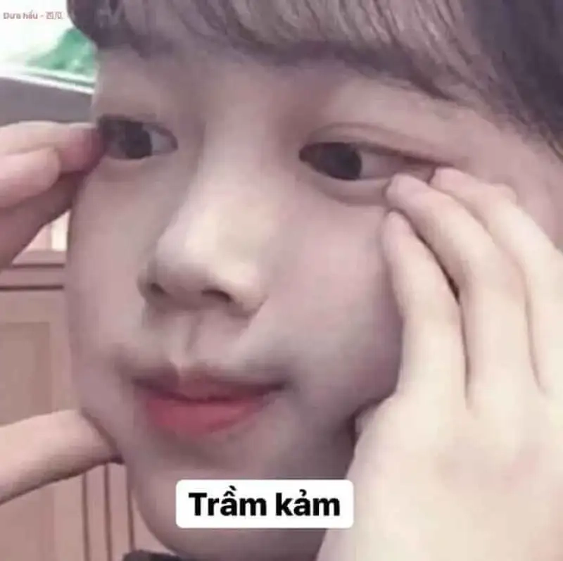 Meme trầm cảm mang lại tiếng cười nhẹ nhàng